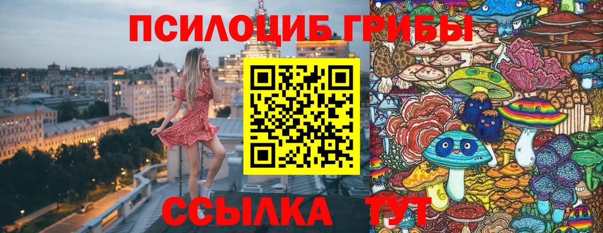 Псилоцибиновые грибы Psilocybine cubensis  купить наркотики цена  Вход с VPN  Знаменск  Галлюциногенные грибы Psilocybine cubensis 
